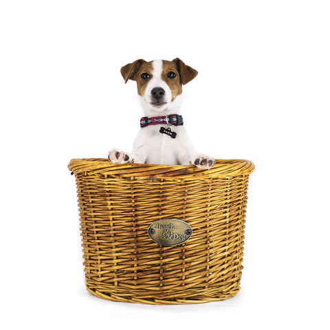 Arroyo Beach Front Mount Bike Basket - Beach & Dog Co.