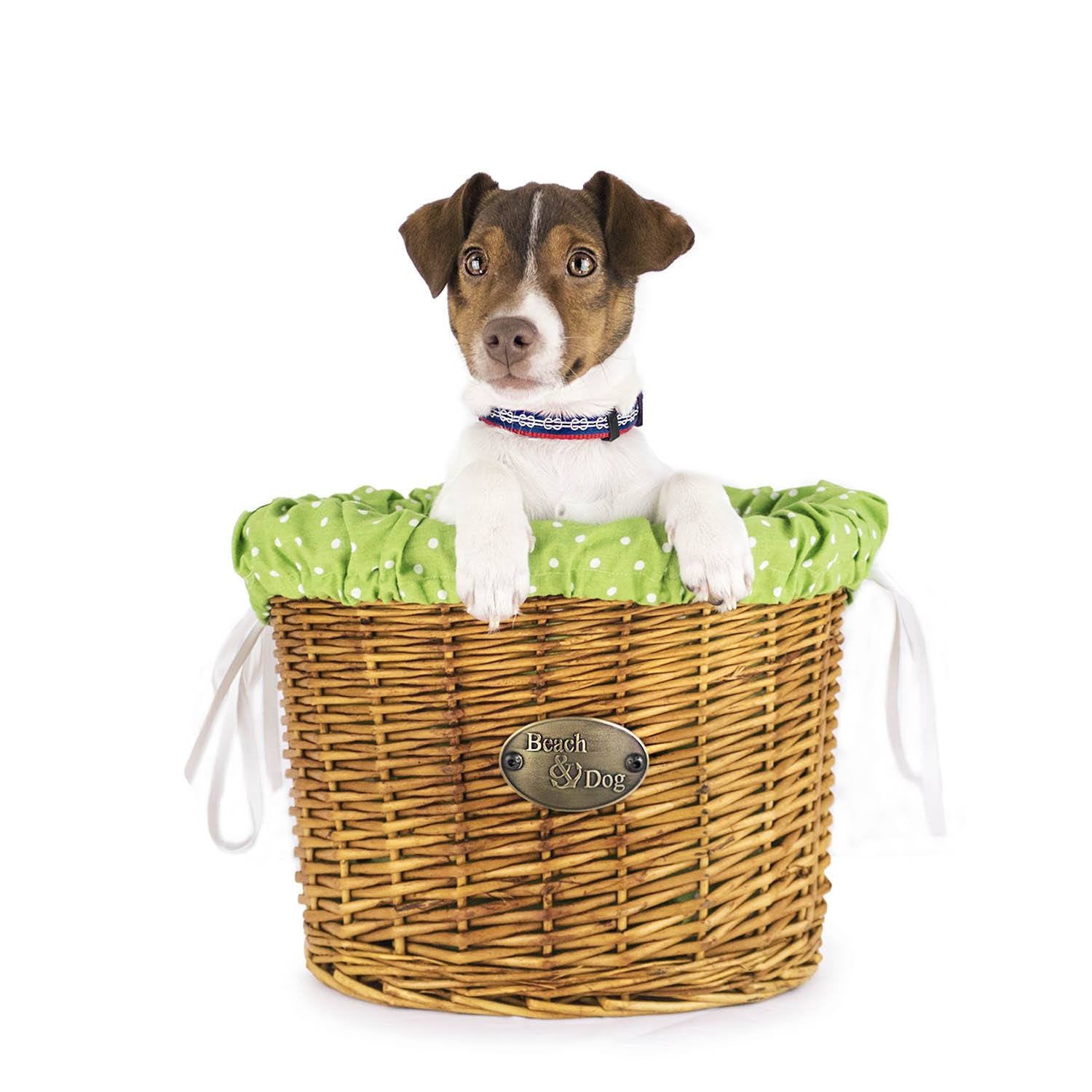 Arroyo Beach Front Mount Bike Basket - Beach & Dog Co.