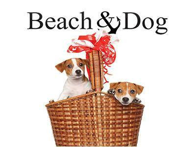 Dog Tee Red Striped with Scarf - Beach & Dog Co.