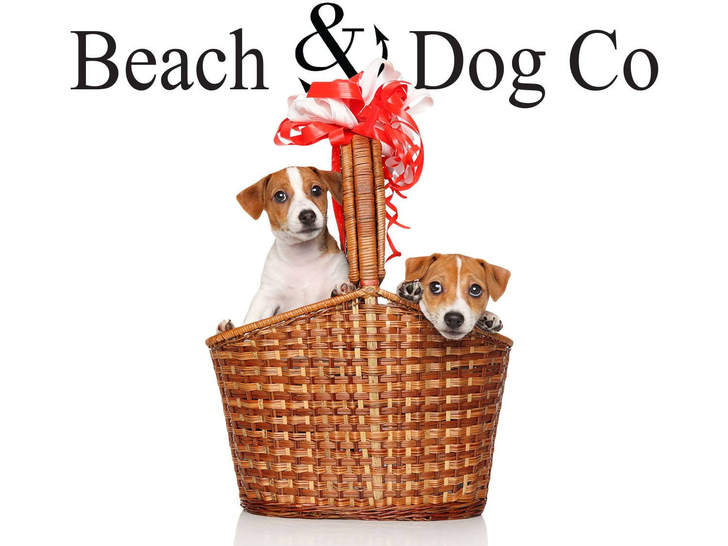 Red and Blue Anchor Leash - Beach & Dog Co.