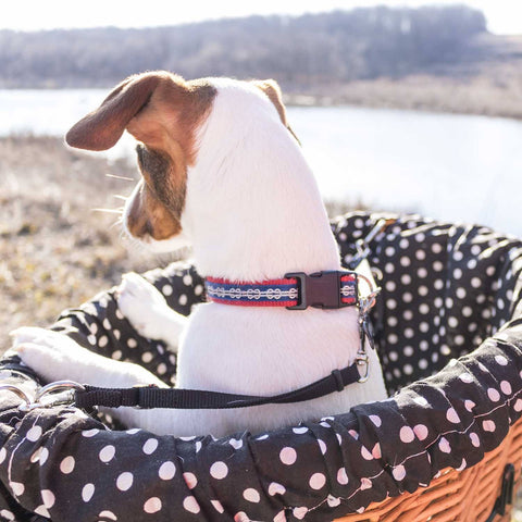 Adjustable Basket Leash - Beach & Dog Co.