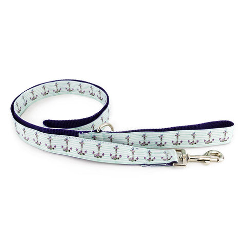 White Starfish on Aqua Leash