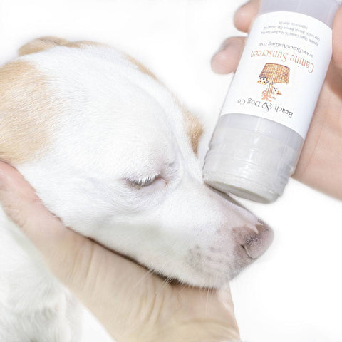 Canine Sunscreen (2 oz Twist Up) Zinc and Titanium Dioxide Free - Beach & Dog Co.