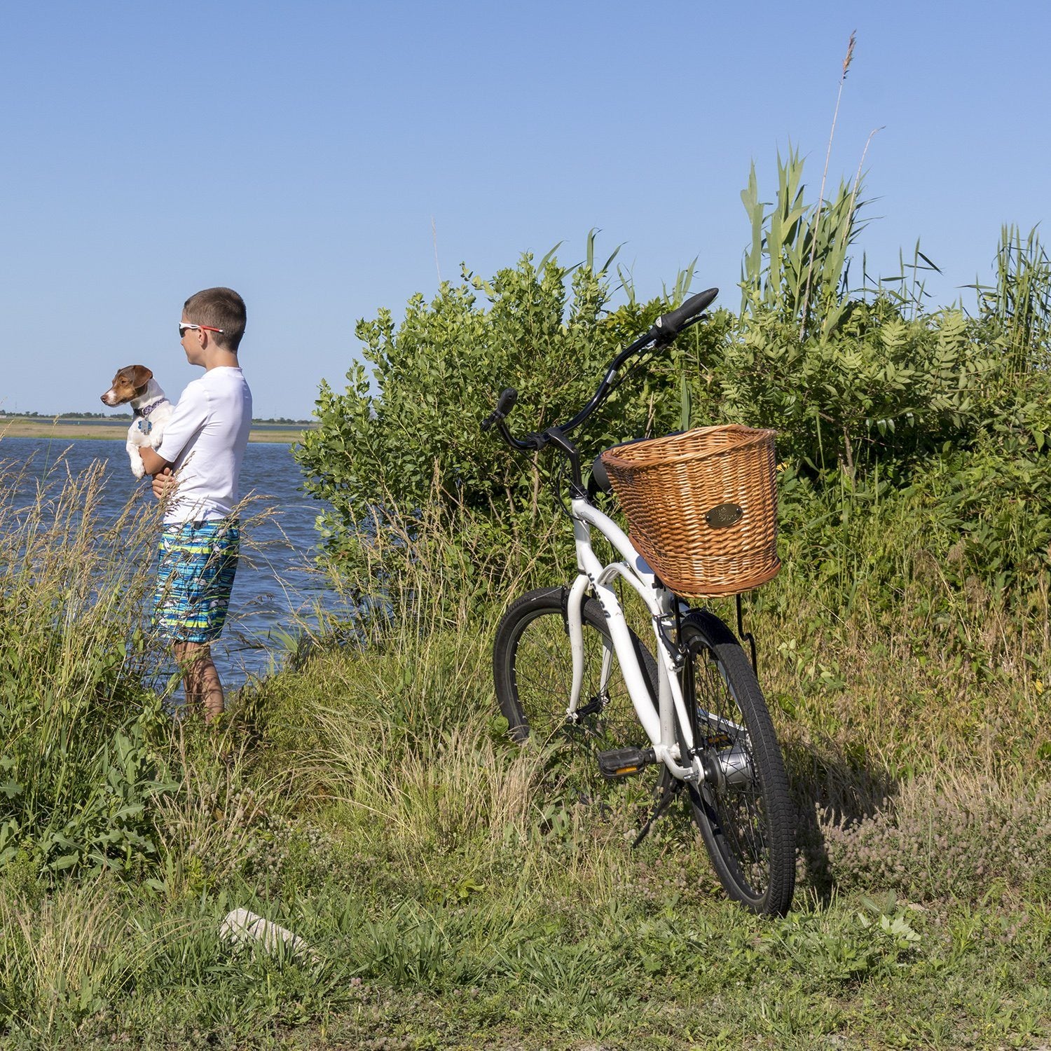Cape May Rear Mount Bike Basket (Natural) - Beach & Dog Co.