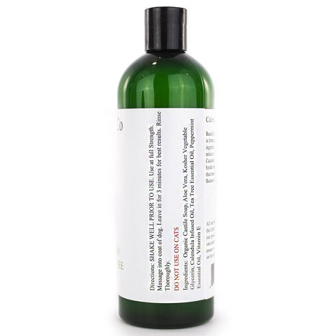 Hot Spot Shampoo (Mint) - All Natural Itch Relief - Beach & Dog Co.