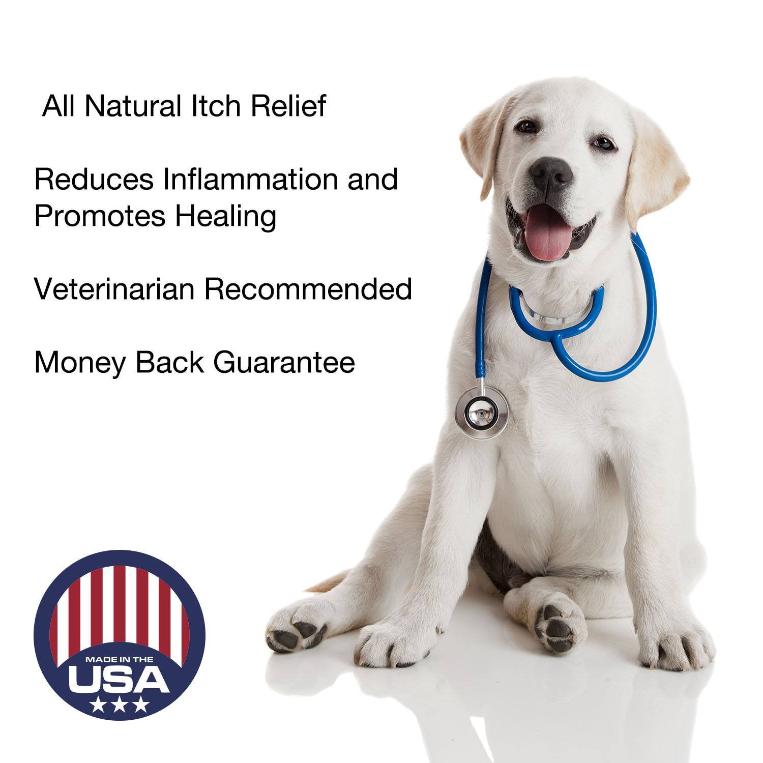 Hot Spot Relief (2 oz) Natural Itch Relief for Dogs - Beach & Dog Co.