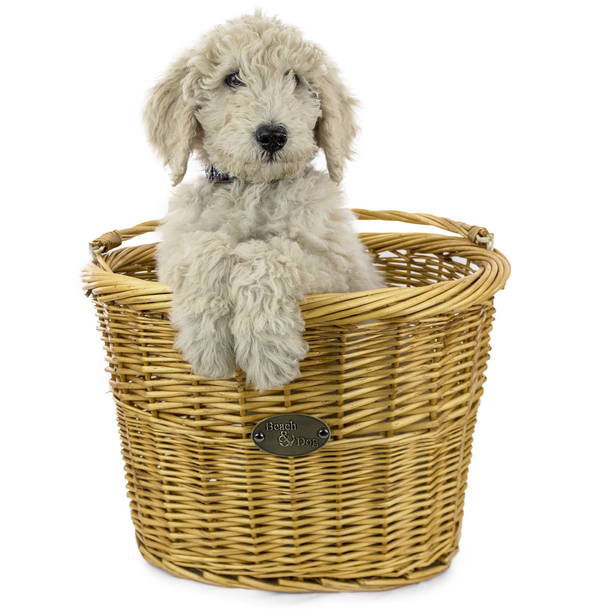 Monterey Front Mount Bike Basket