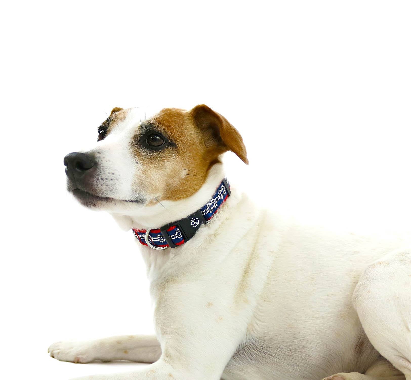 Nautical Knots Collar - Beach & Dog Co.