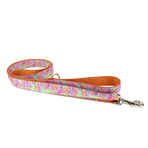 White Starfish on Aqua Leash