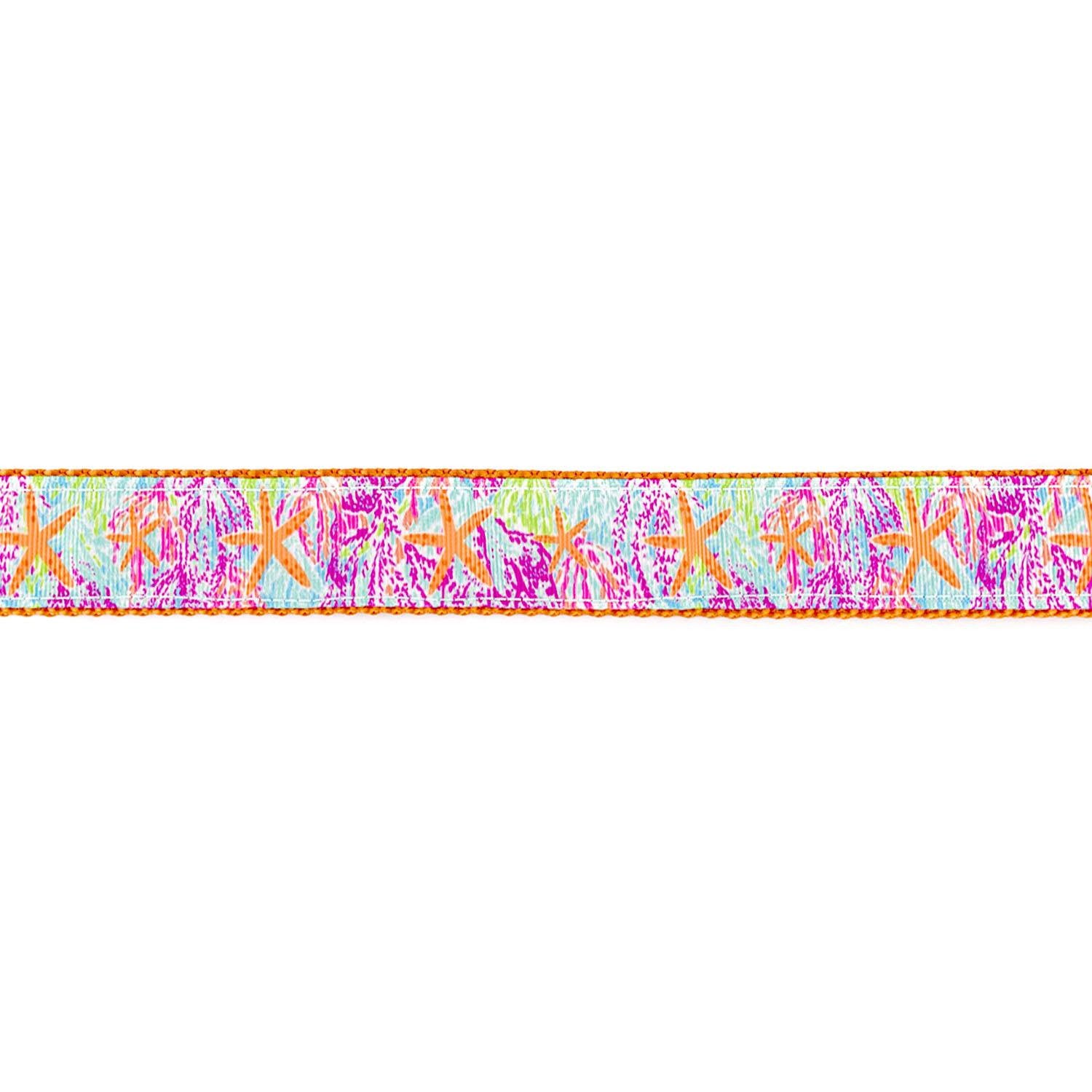 Tangerine Starfish Collar - Beach & Dog Co.