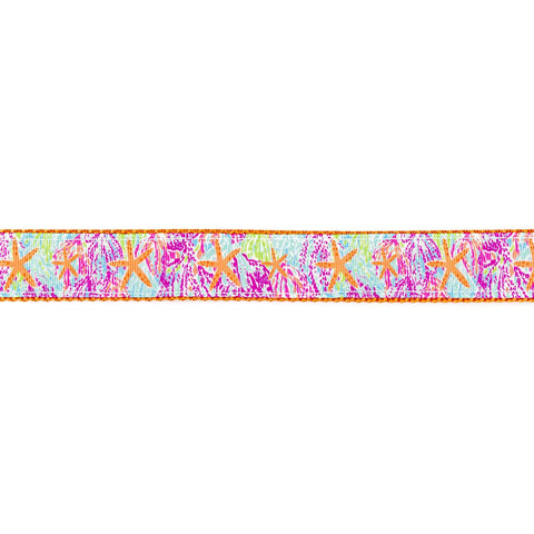 Tangerine Starfish Collar - Beach & Dog Co.