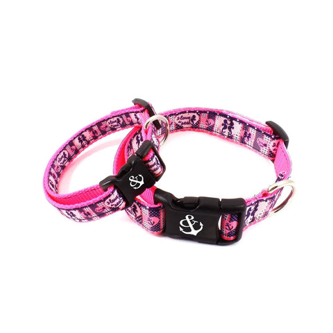 Pink Seahorses Collar - Beach & Dog Co.