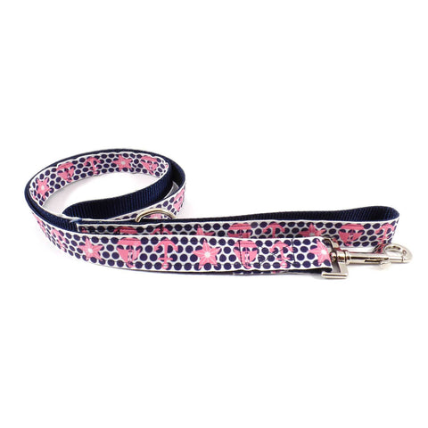 White Starfish on Aqua Leash