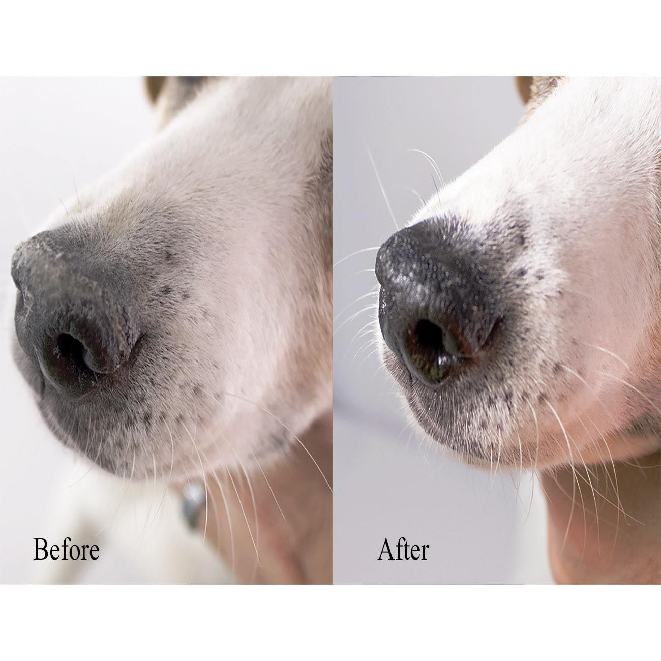 Snout and Paw Wax (2 oz) For Dry Chapped Cracked Noses and Paws - Beach & Dog Co.