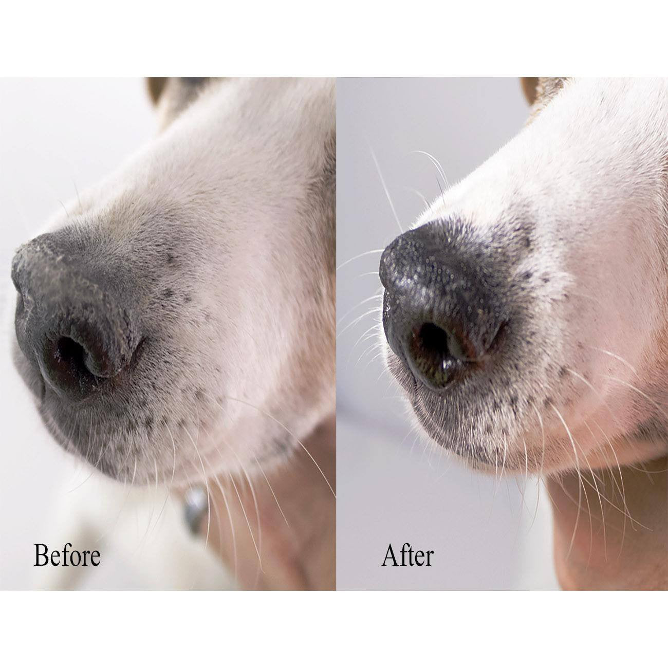 Snout and Paw Wax (2 oz Twist Up) For Dry Chapped Cracked Noses and Paws - Beach & Dog Co.