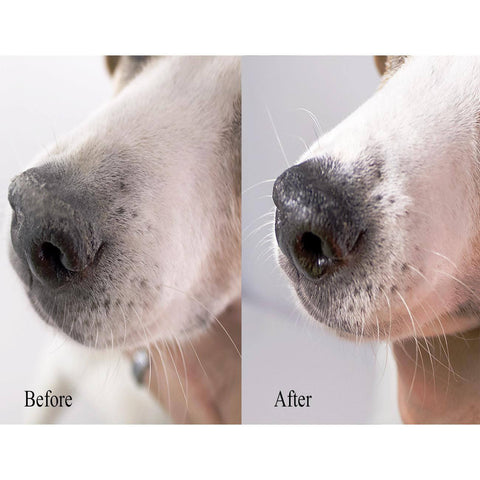 Snout and Paw Wax (2 oz Twist Up) For Dry Chapped Cracked Noses and Paws - Beach & Dog Co.