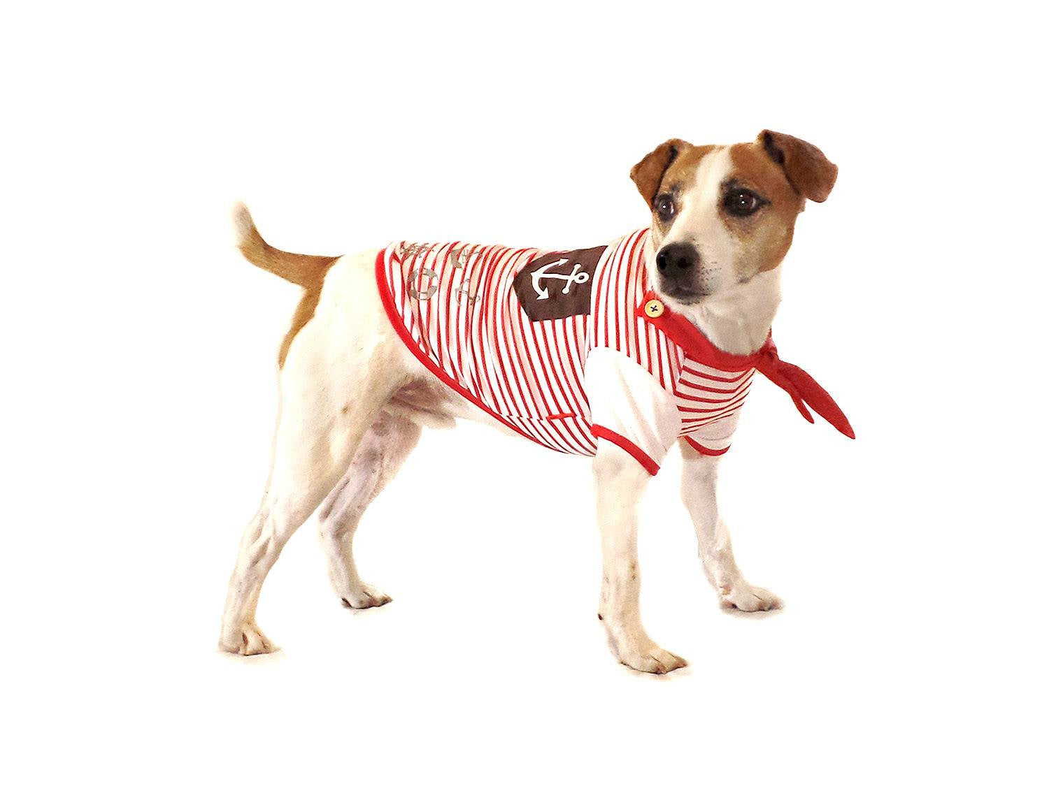 Dog Tee Red Striped with Scarf