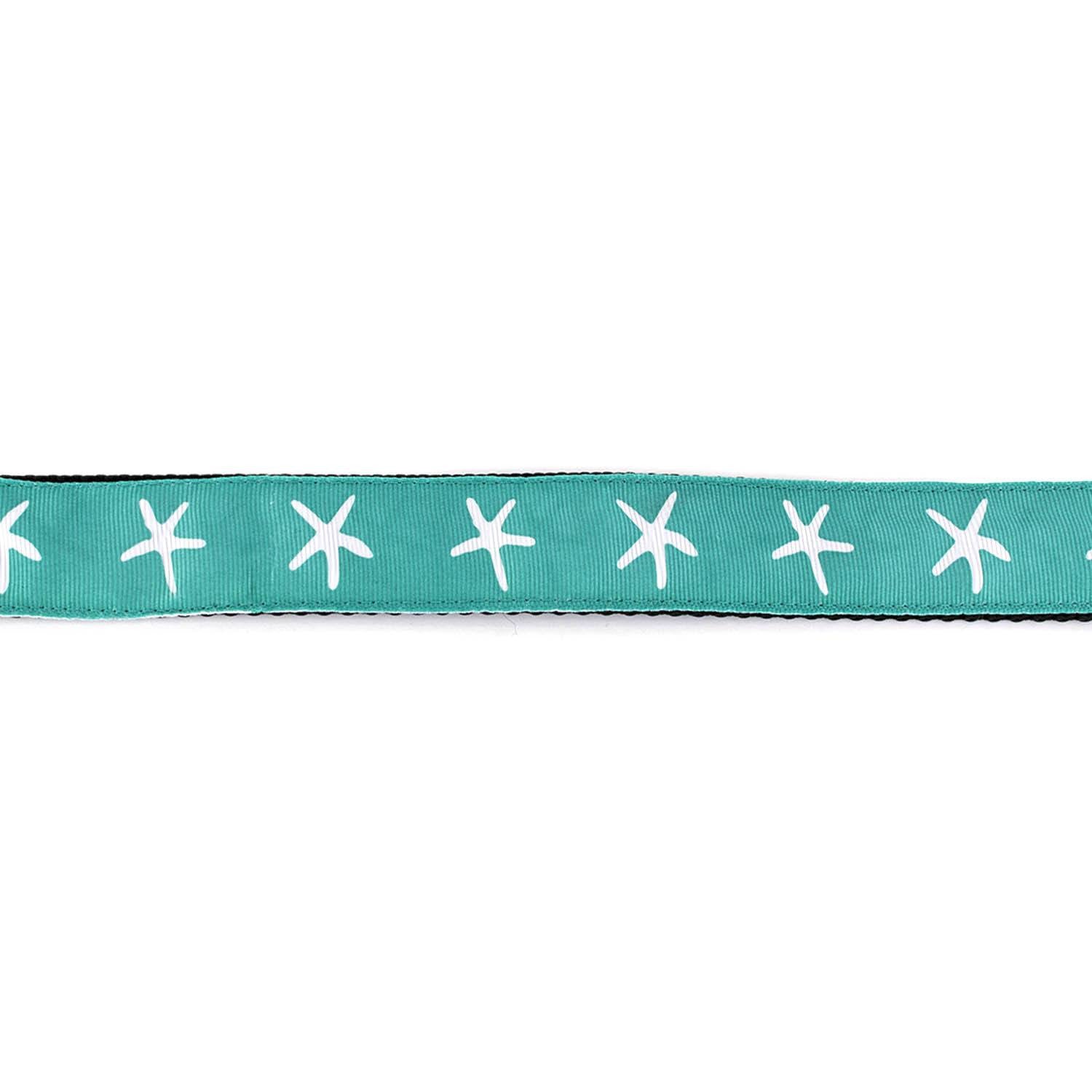 White Starfish on Aqua Collar - Beach & Dog Co.