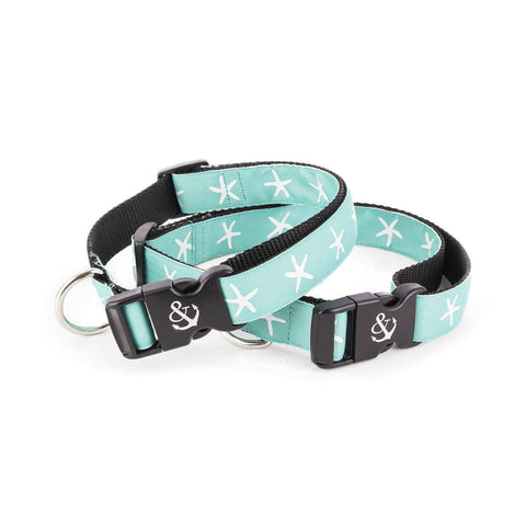 White Starfish on Aqua Collar - Beach & Dog Co.