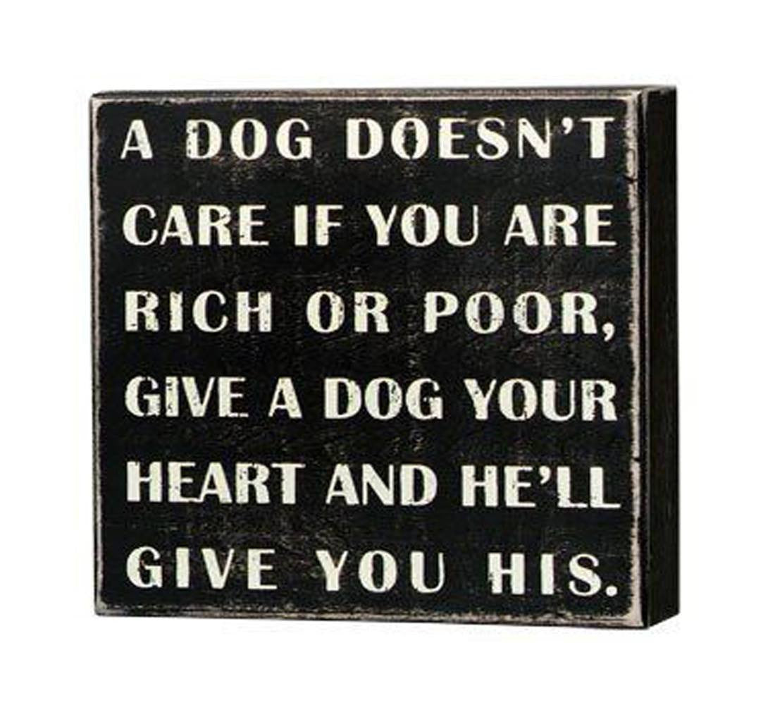 Box Sign - A Dog Doesn't Care If You Are Rich or Poor - Beach & Dog Co.