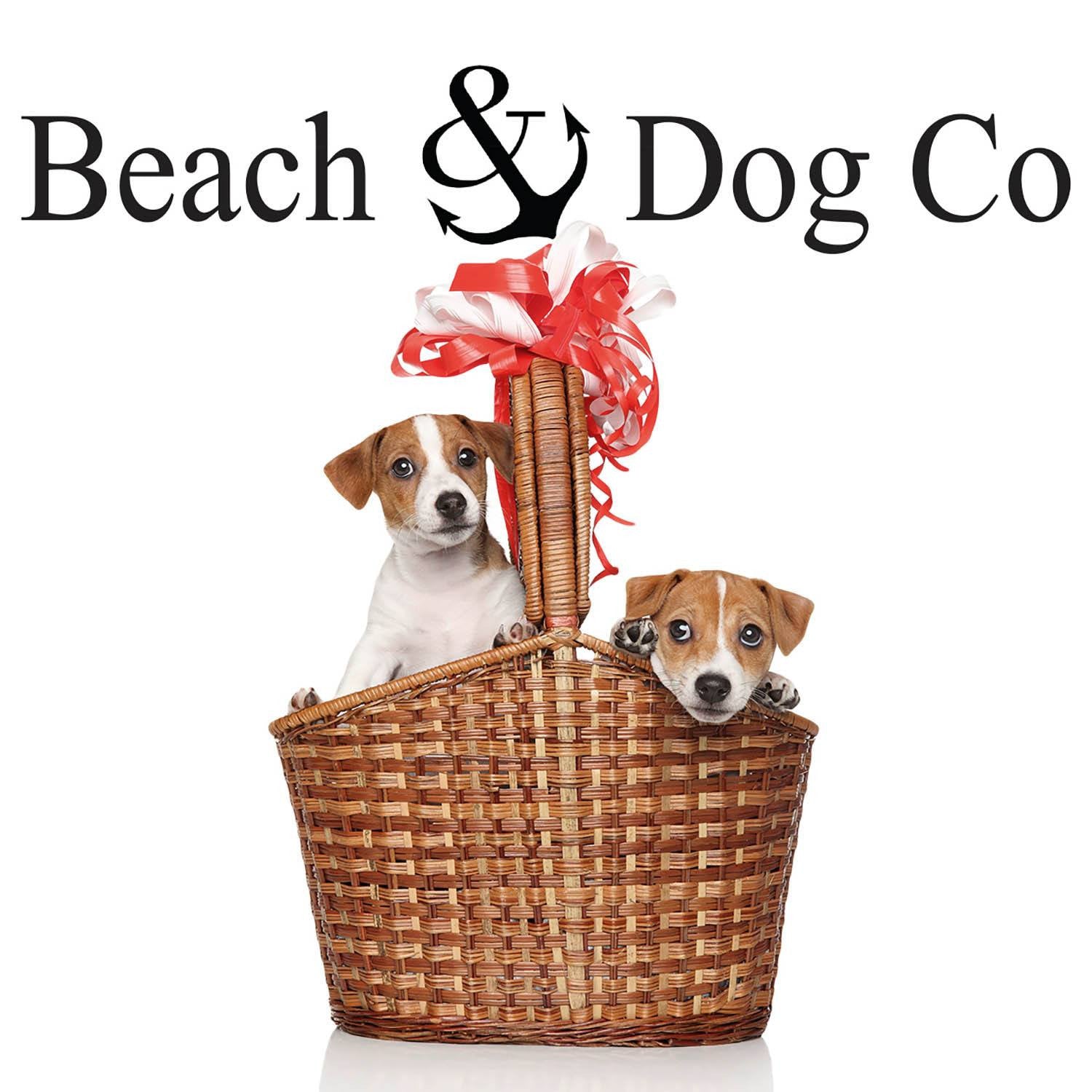 Blue Anchors on Pink Stripes Collar - Beach & Dog Co.