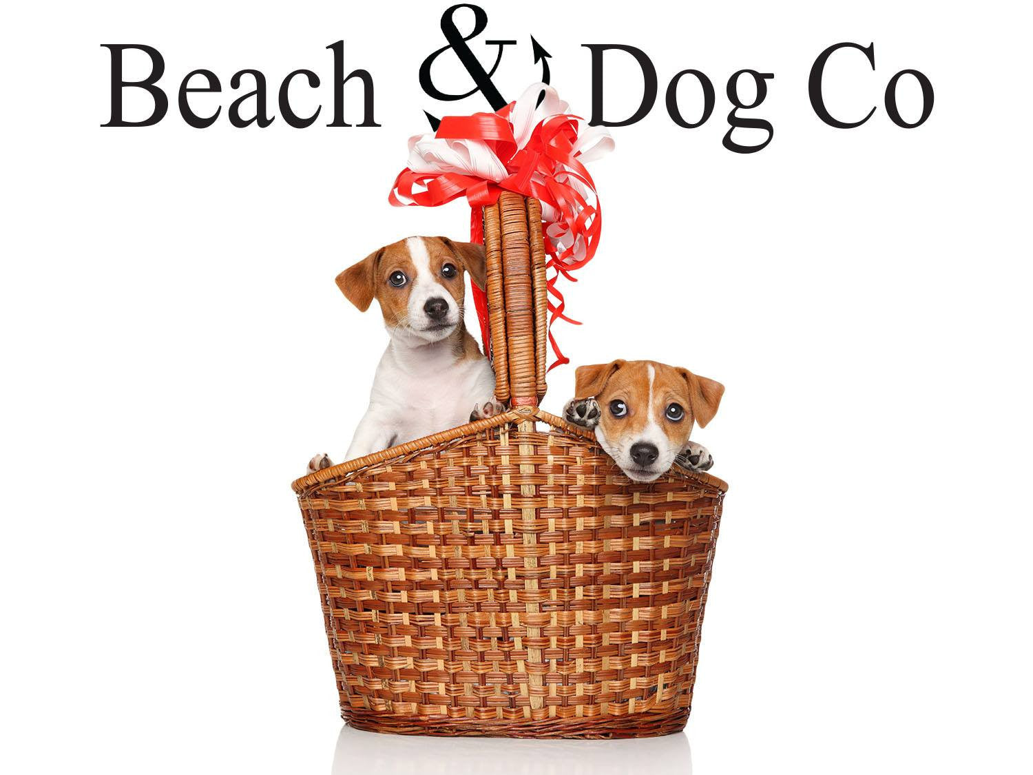 Polka Dot Blue and Pink Leash - Beach & Dog Co.