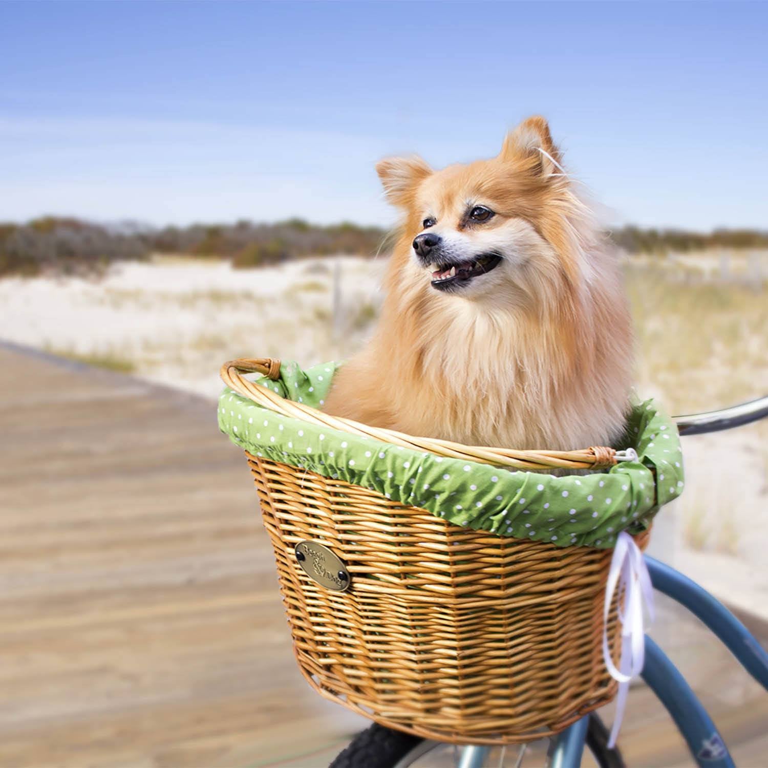 Assateague Front Mount Bike Basket - Beach & Dog Co.