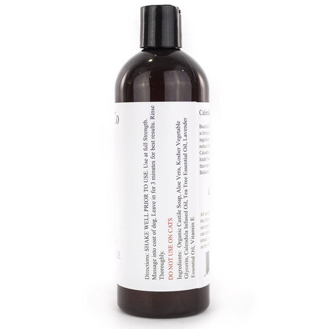 Hot Spot Shampoo (Lavender) - All Natural Itch Relief - Beach & Dog Co.