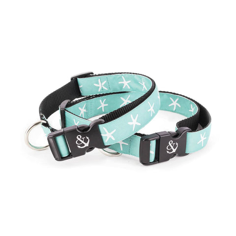 White with Boats and Anchors Leash